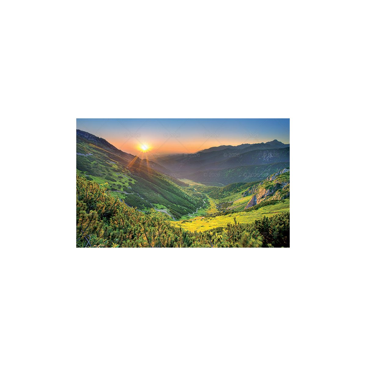 Kalendarz ścienny (401000) k:2915-377 trójdzielny 320mm x 860mm Lucrum (KT06)