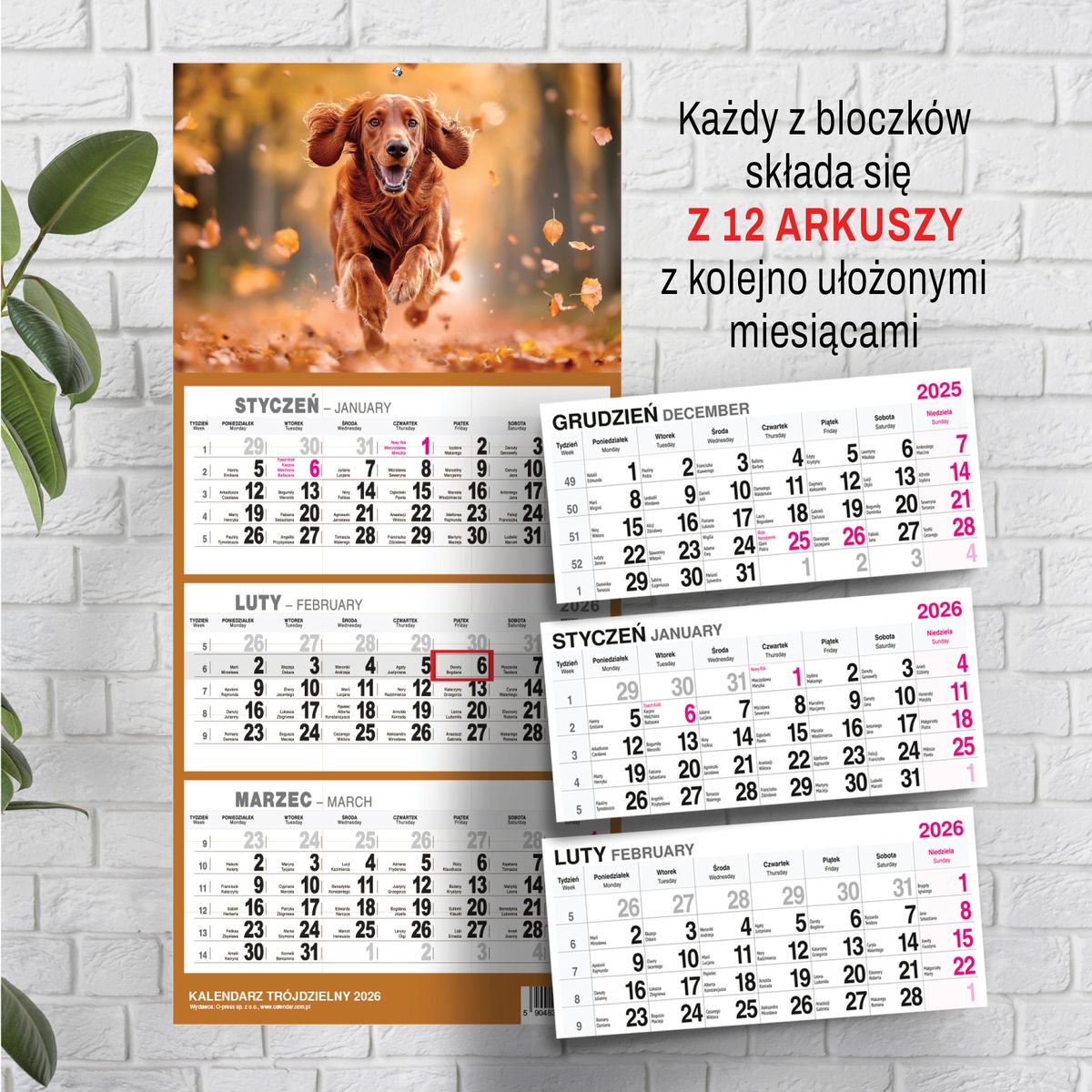 Kalendarz ścienny (401000) k:2915-377 PIES A5 210mm x 450mm Press