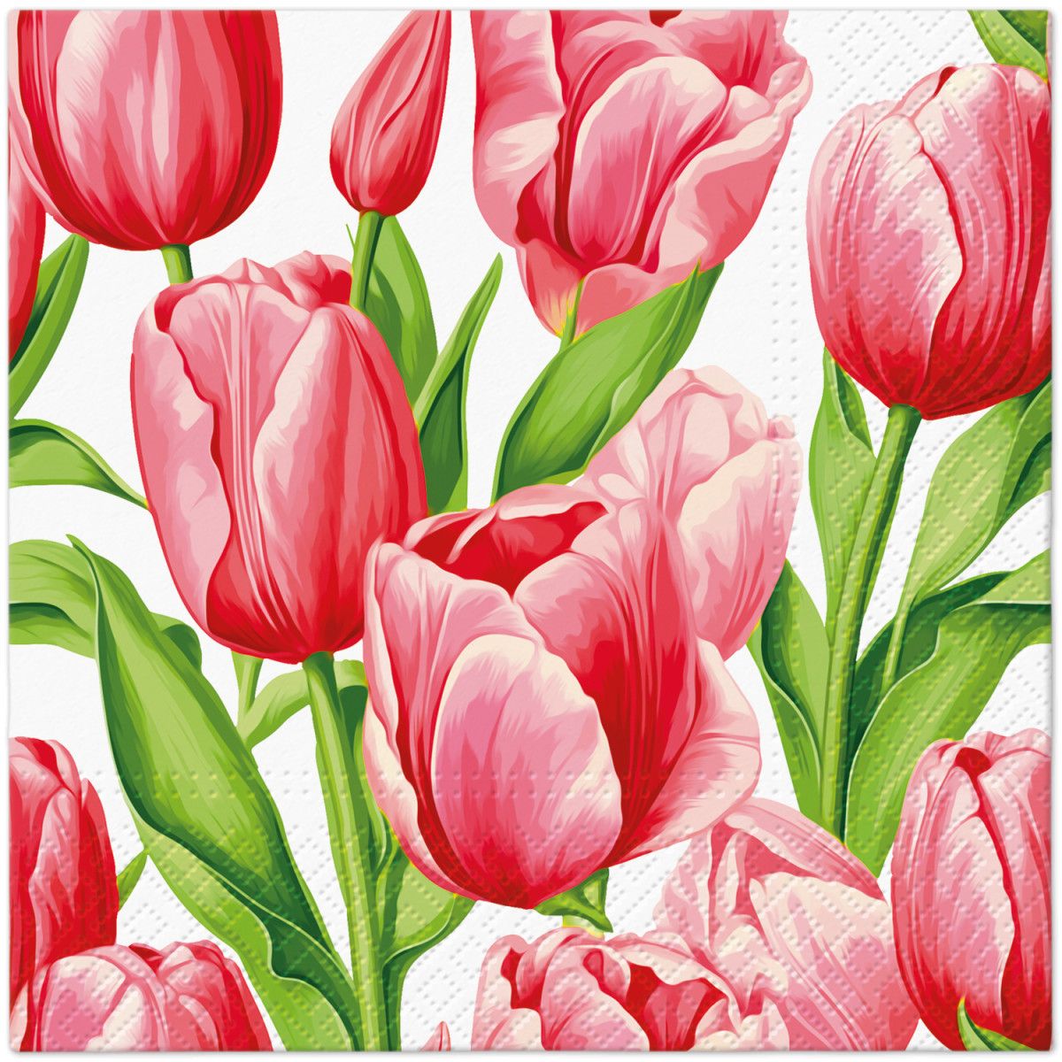 Serwetki Paw Lunch Tulip Time mix nadruk bibuła [mm:] 330x330 (SDL147700)