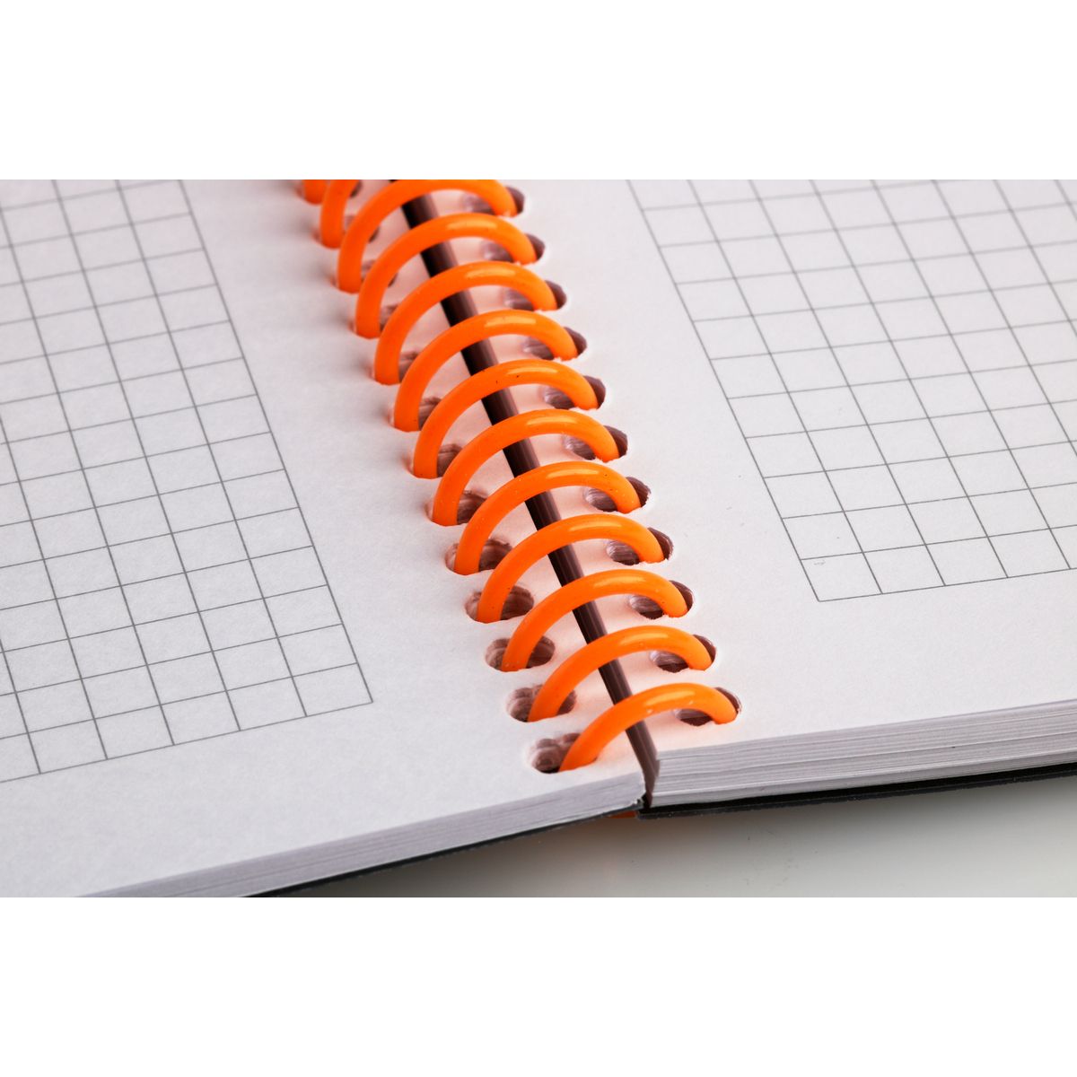 Kołonotes Happy Color (HA 4741 1825-JU1)