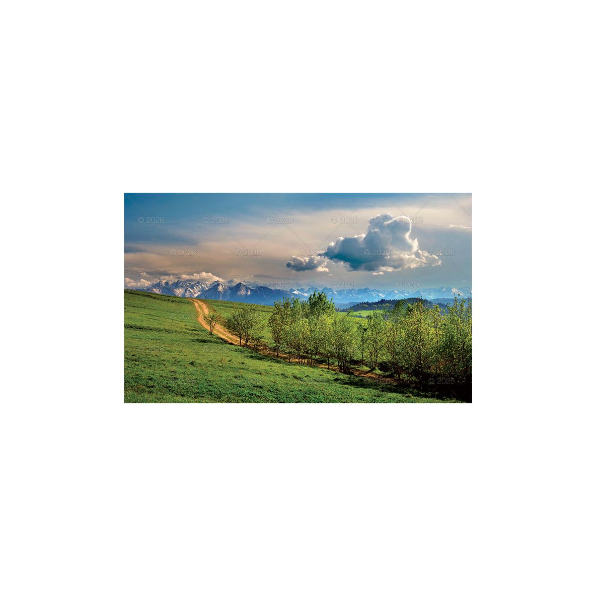 Kalendarz ścienny (401000) k:2915-377 trójdzielny 320mm x 860mm Lucrum (KT04)