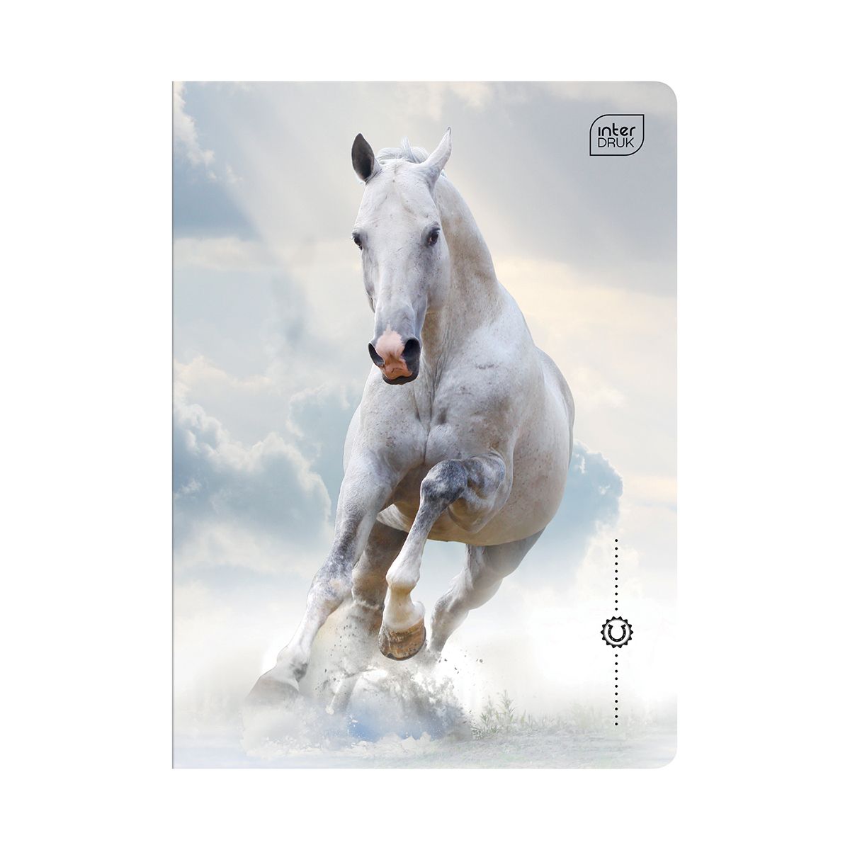 Zeszyt WILD HORSES A5 32k. 70g krata Interdruk