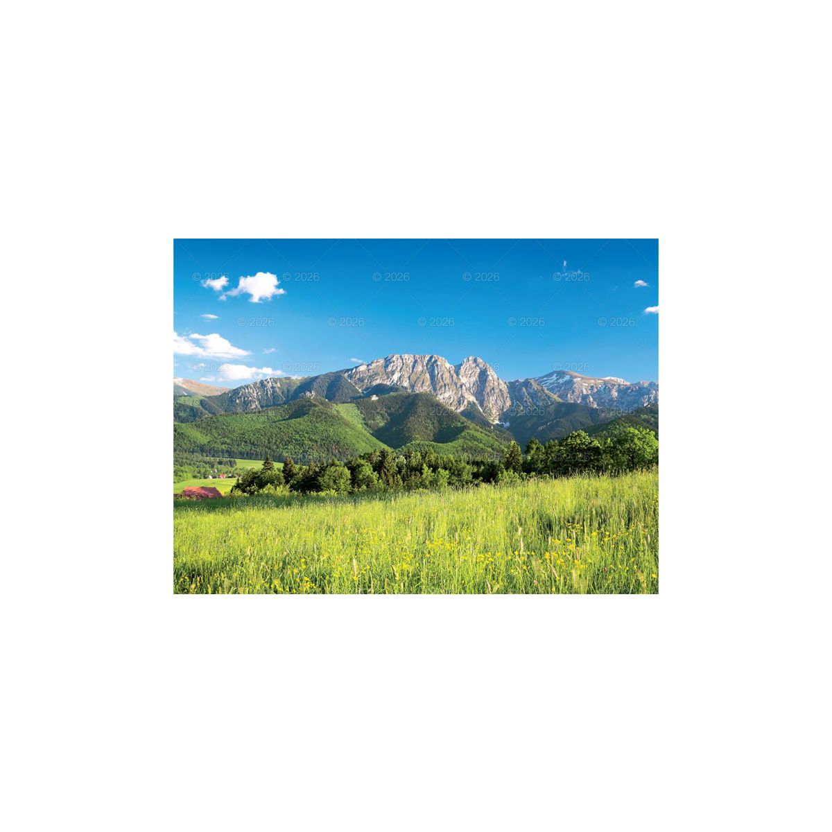 Kalendarz ścienny (401000) k:2915-377 PEJZAŻE TATRZAŃSKIE 13-planszowe 2024 320mm x 470mm Lucrum (RW05)