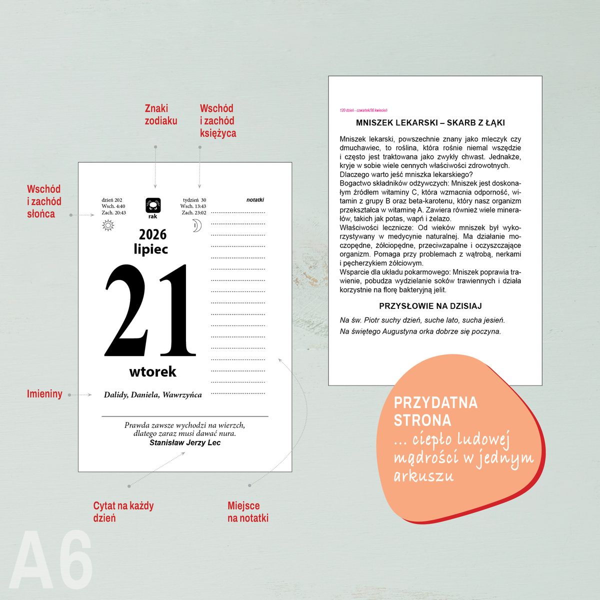 Kalendarz ścienny (401000) k:2915-377 ZDZIERAK FAMILIJNY A6 Press