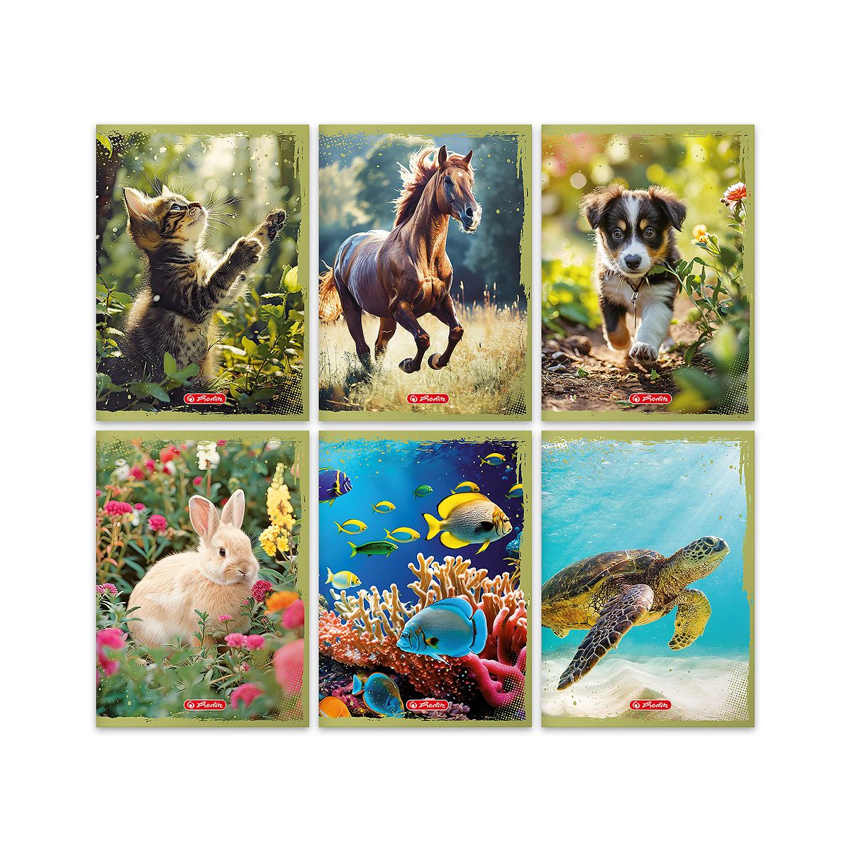 Zeszyt Animals A5 16k. 70g krata kolorowa Herlitz (400196855)