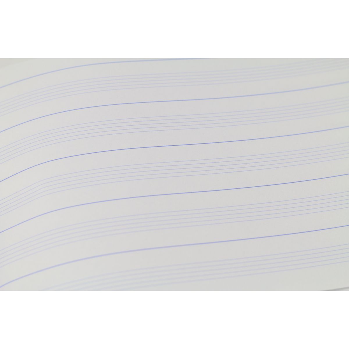 Zeszyt do nut A4 16k. 70g [mm:] 295x205 Rexus (607371)