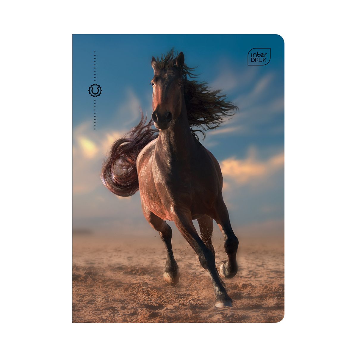 Zeszyt WILD HORSES A5 32k. 70g krata Interdruk
