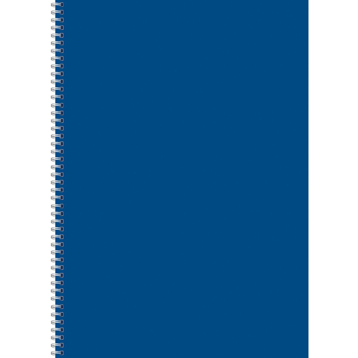 Kołozeszyt (kołobrulion) Kreska A4 96k. czysty