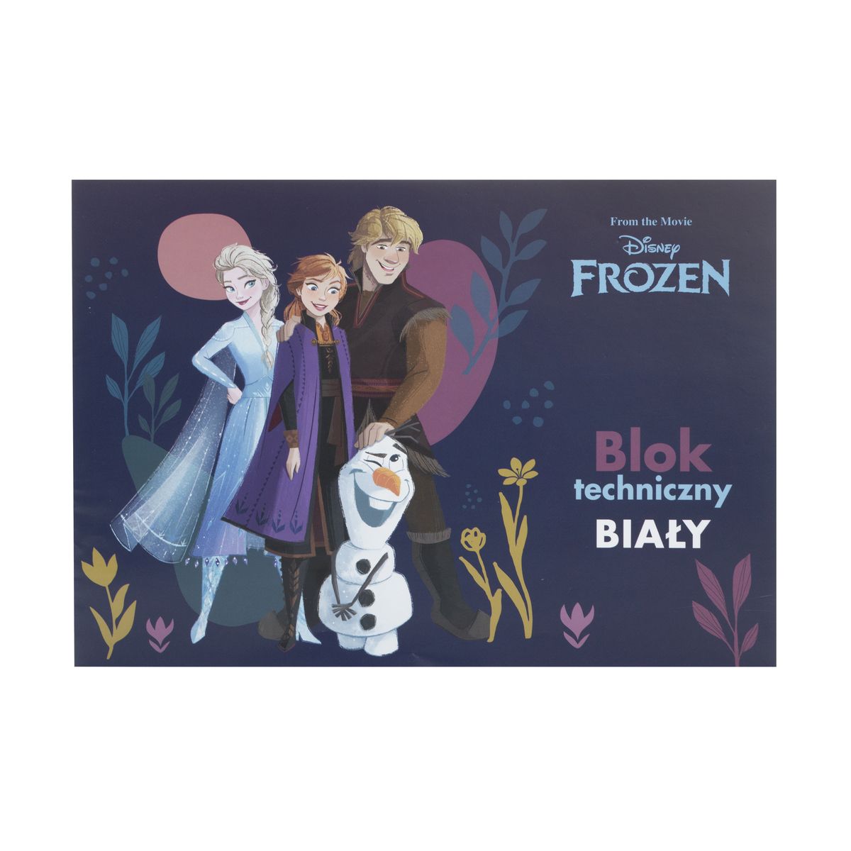 Blok techniczny Beniamin Frozen A4 biały 170g 20k [mm:] 295x210