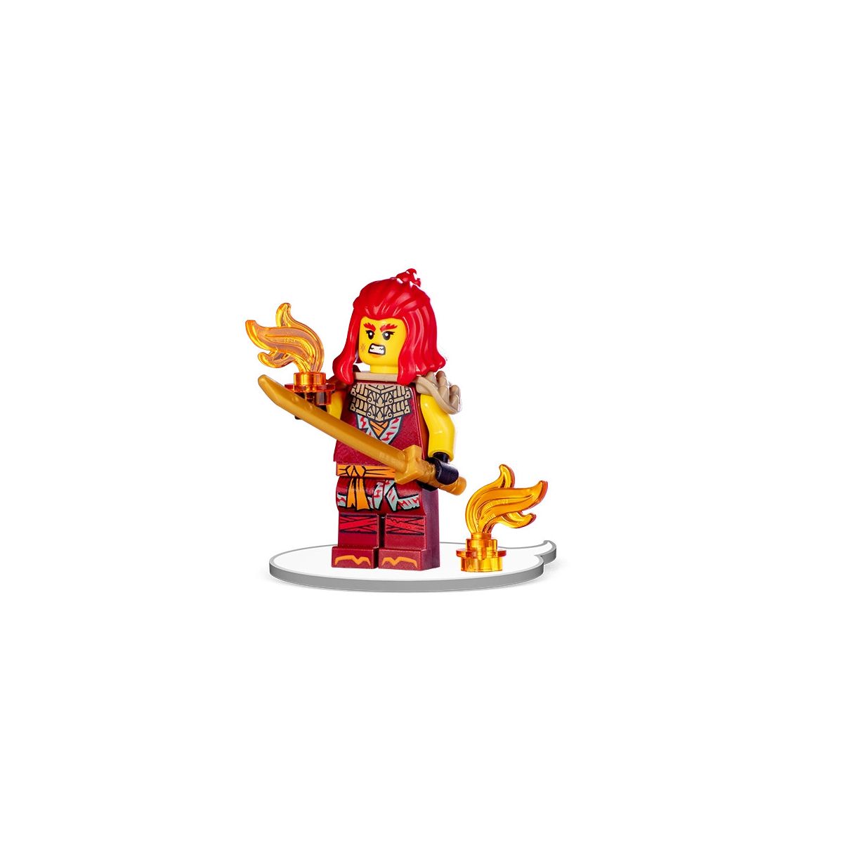 Książka dla dzieci LEGO® NINJAGO®. Ogień i Żar Ameet (LNC 6749)