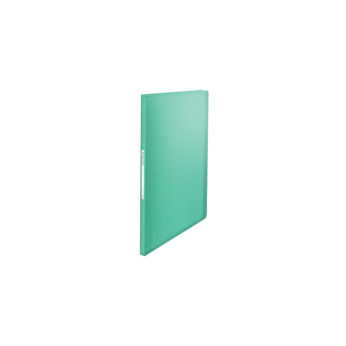 Teczka ofertowa Colour Breeze A4 kolor: zielony 40 kieszeni Esselte (626228)