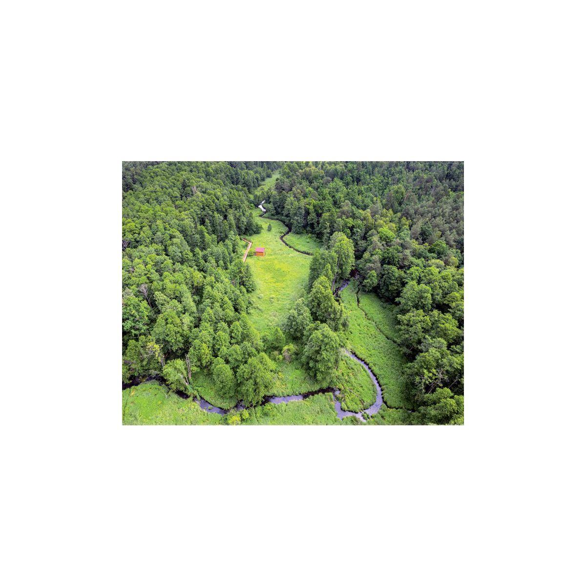 Kalendarz ścienny (401000) k:2915-377 13-planszowe 320mm x 470mm Lucrum (RW04)