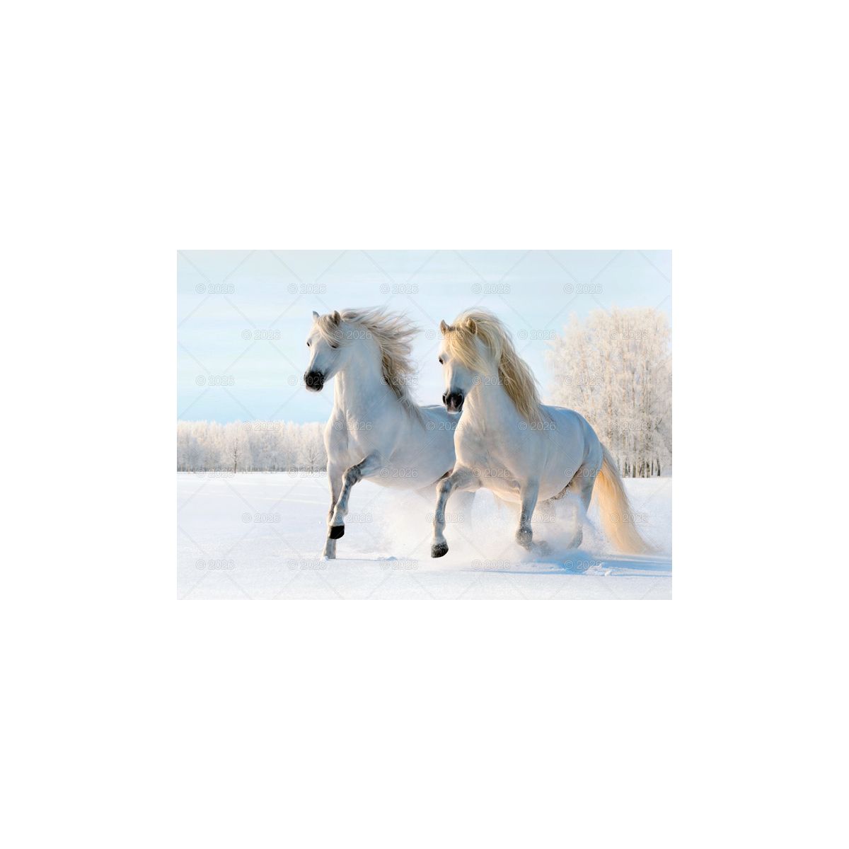 Kalendarz ścienny (401000) k:2915-377 konie w plenerze rodzinny 280mm x 200mm Lucrum (WL10)