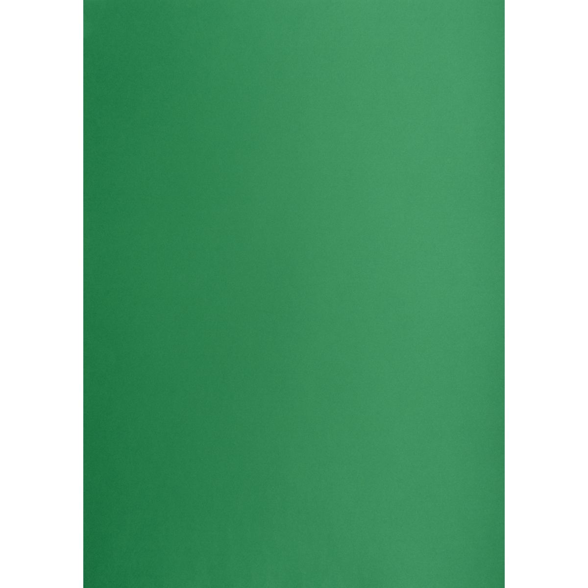 Brystol Creatinio zielony ciemny B2 zielony 225g 25k (400150339)
