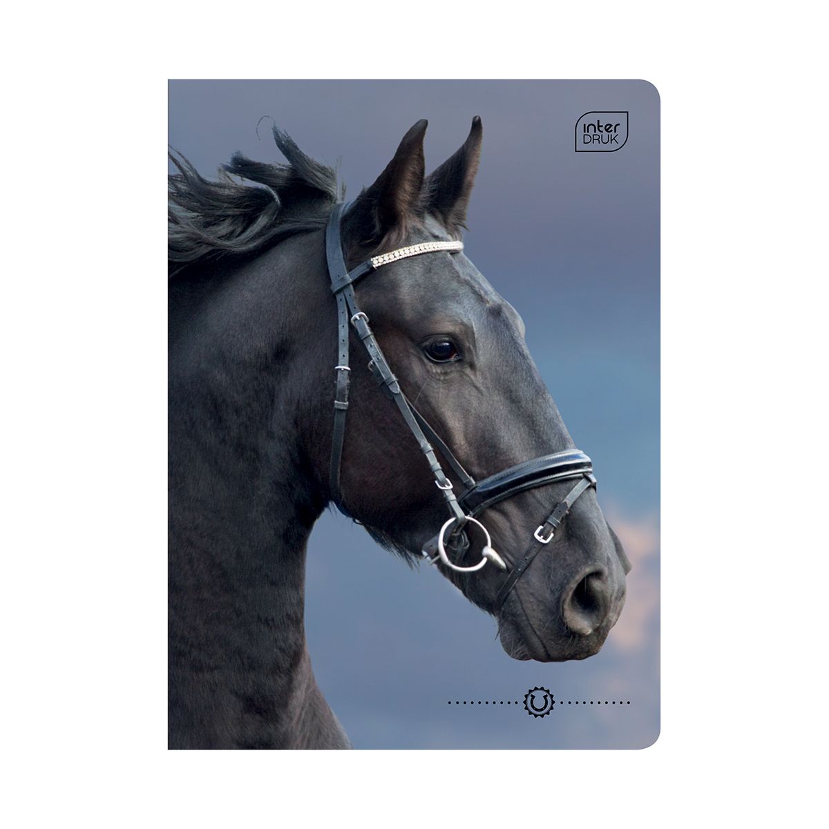 Zeszyt WILD HORSES A5 32k. 70g krata Interdruk
