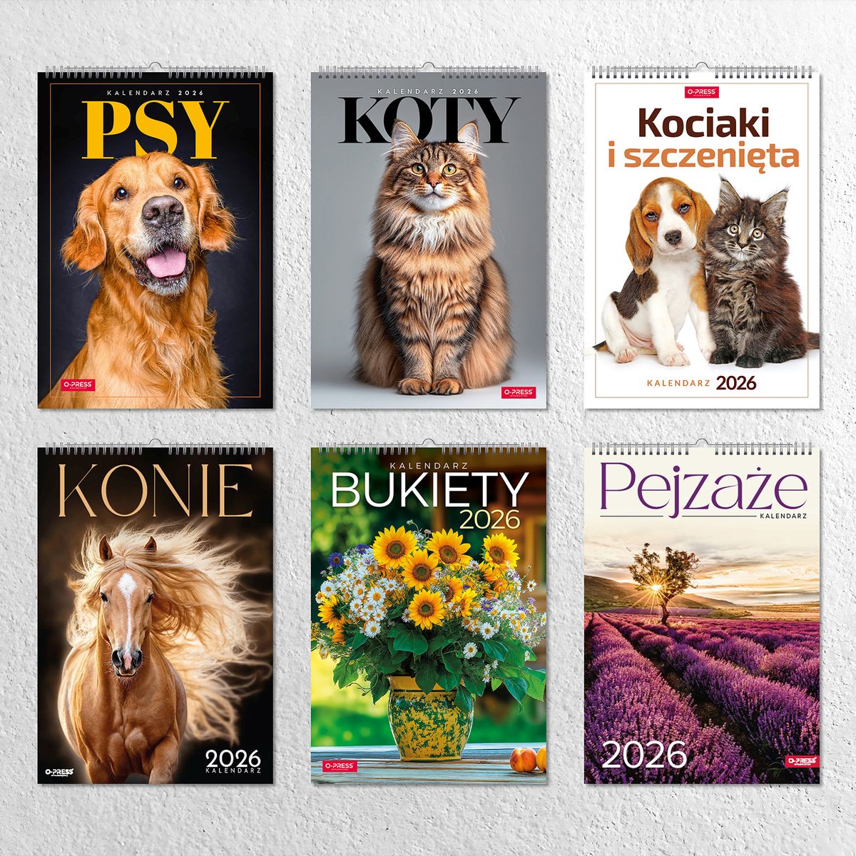 Kalendarz ścienny (401000) k:2915-377 16  stron wieloplanszowy A3 Press (KOTY)