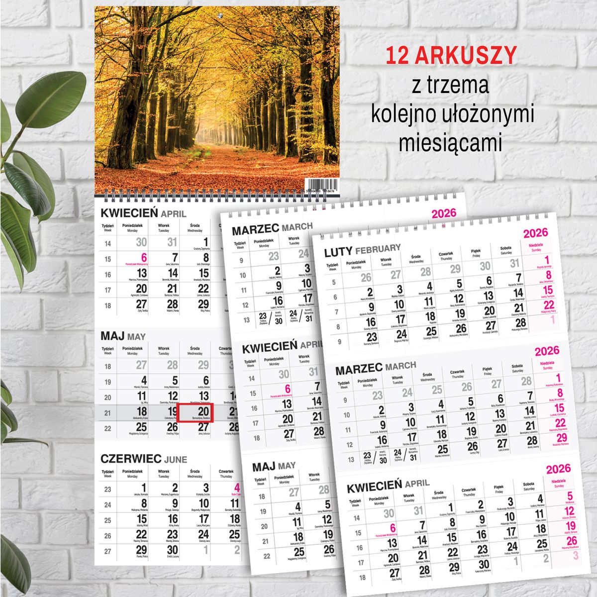Kalendarz ścienny (401000) k:2915-377 LAS A4 Press