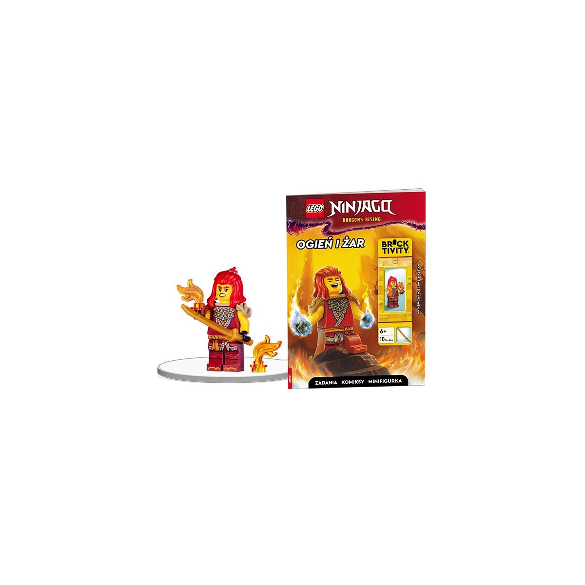 Książka dla dzieci LEGO® NINJAGO®. Ogień i Żar Ameet (LNC 6749)