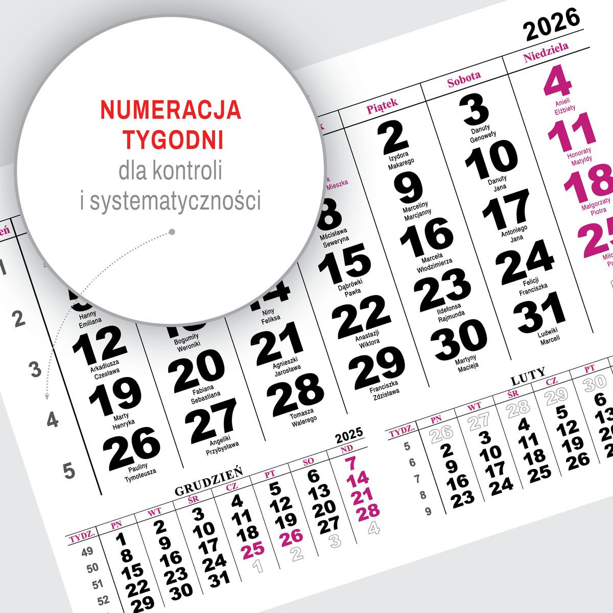 Kalendarz ścienny (401000) k:2915-377 JEDNODZIELNY WIDOK A4 210mm x 295mm Press