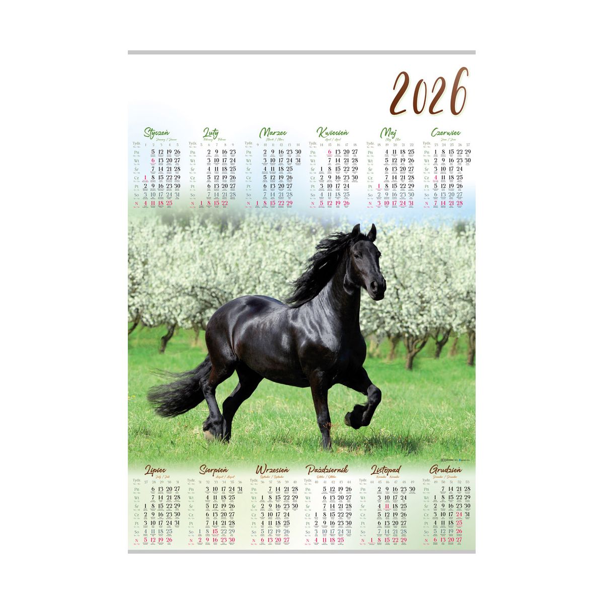 Kalendarz ścienny KOŃ plakatowy 607mm x 880mm Lucrum (PL12)