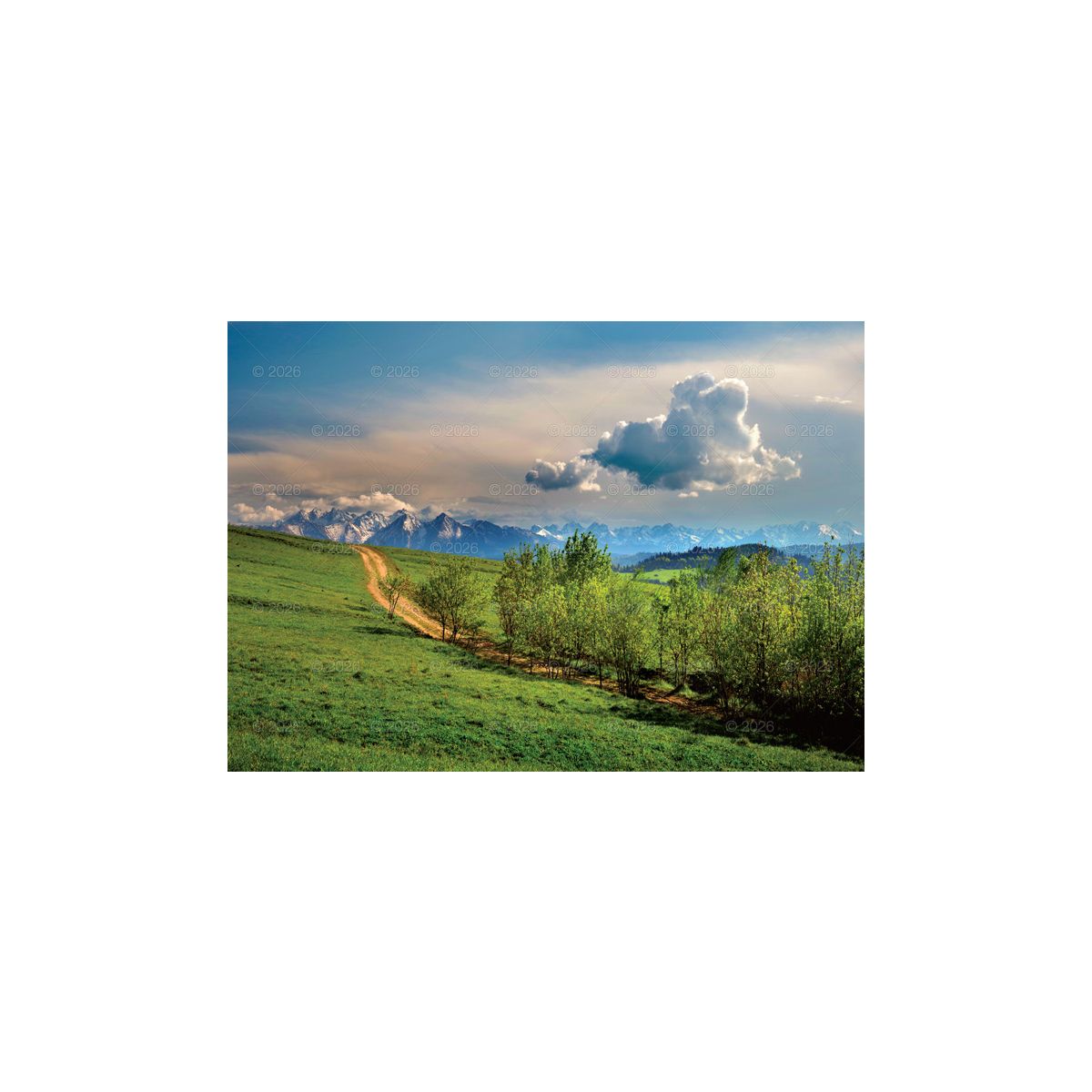 Kalendarz ścienny (401000) k:2915-377 Pejzaże Polski rodzinny 2023 280mm x 200mm Lucrum (WL03)