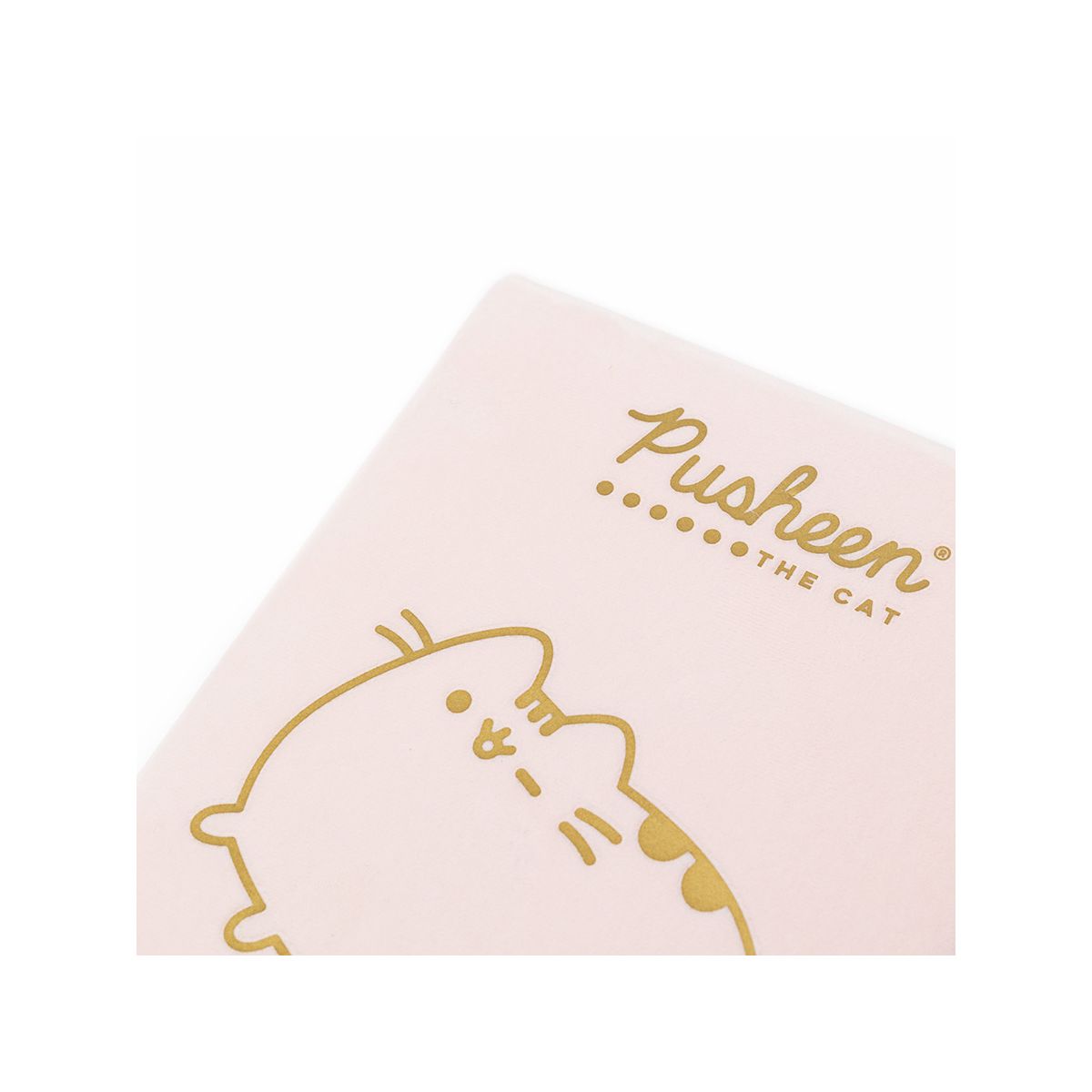 Notes (notatnik) Pusheen A5 Unipap