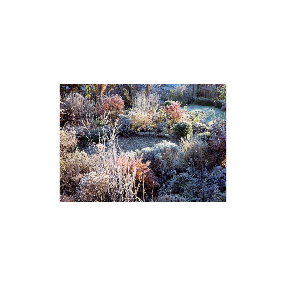 Kalendarz ścienny (401000) k:2915-377 rodzinny 280mm x 200mm Lucrum (WL13)