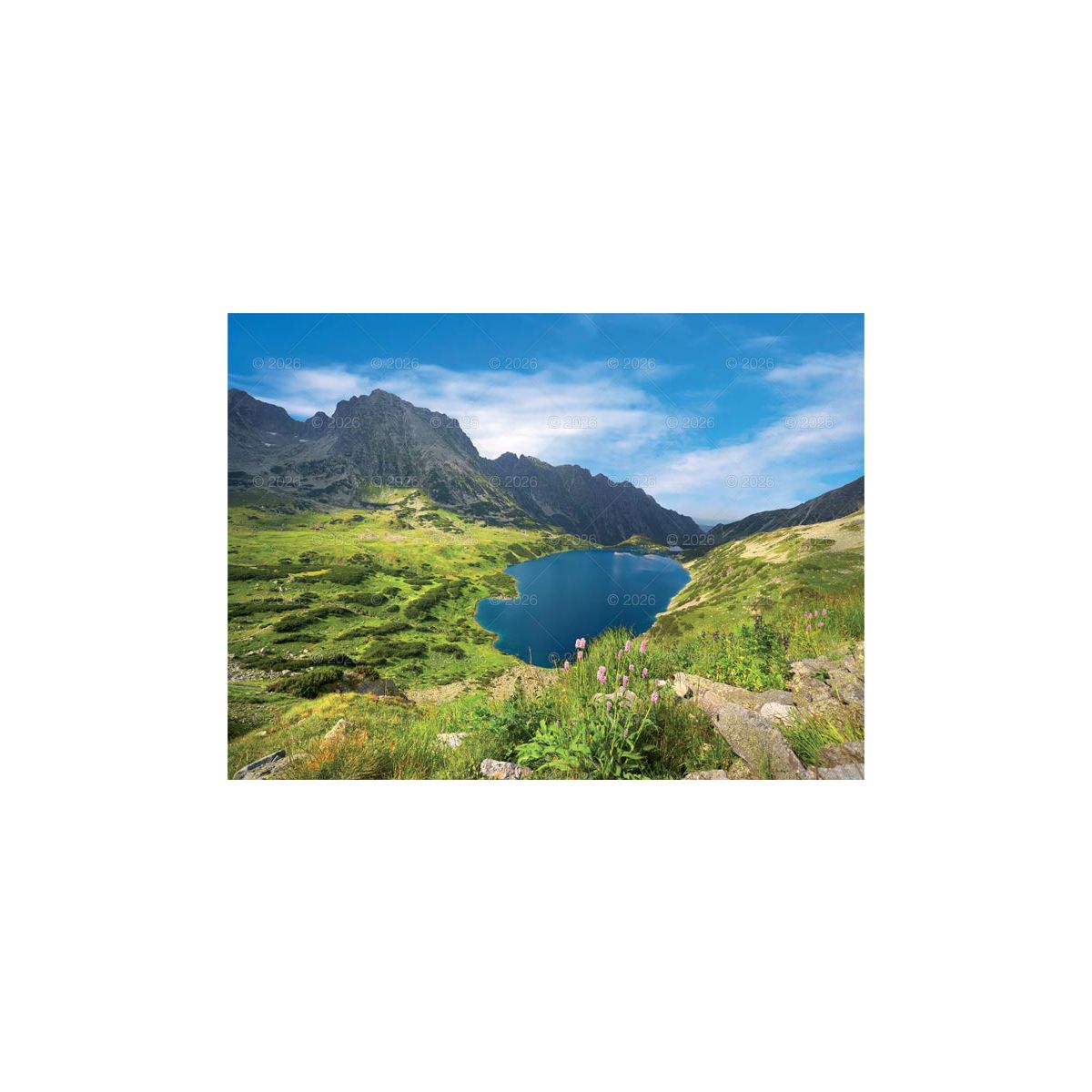 Kalendarz ścienny (401000) k:2915-377 PEJZAŻE TATRZAŃSKIE 13-planszowe 2024 320mm x 470mm Lucrum (RW05)