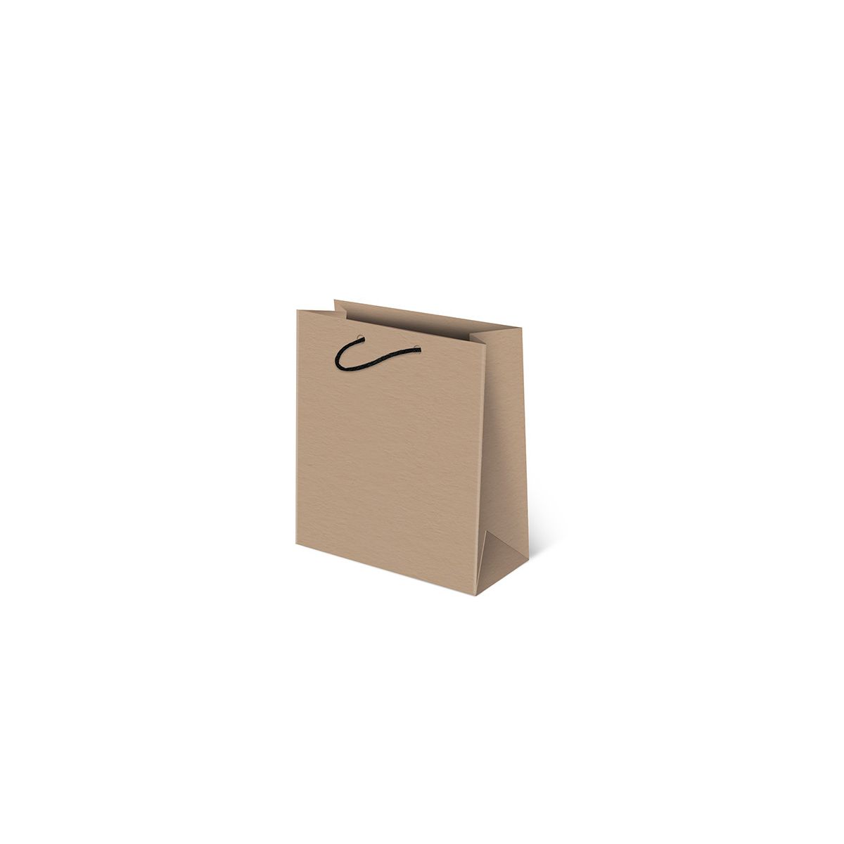 Torba prezentowa Paw Szara [mm:] 200x240x 110 (P-N)
