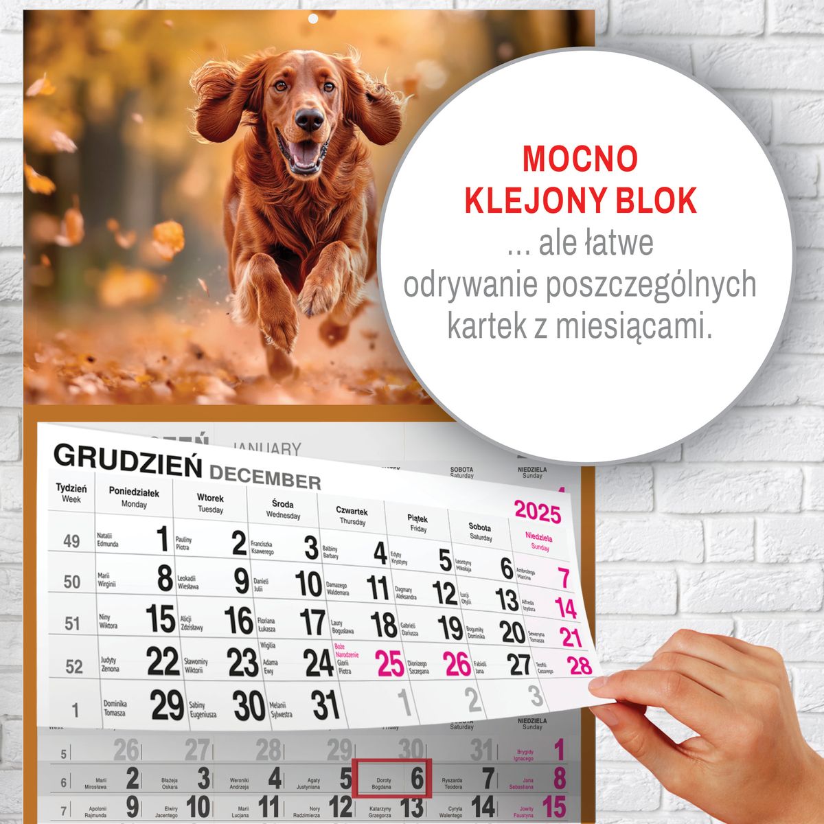 Kalendarz ścienny (401000) k:2915-377 PIES A5 210mm x 450mm Press