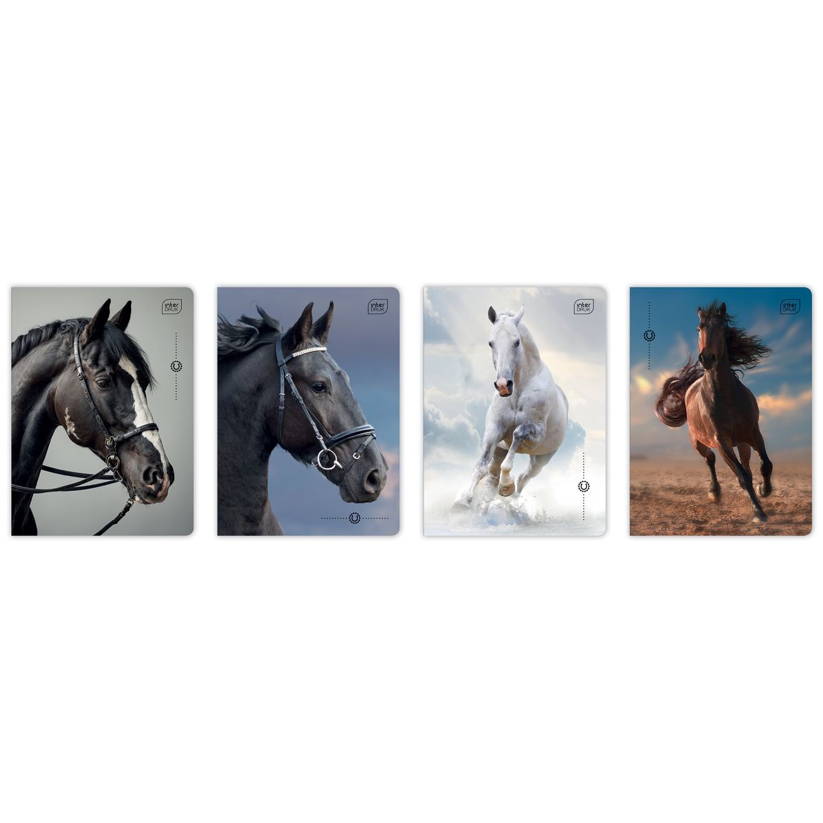 Zeszyt WILD HORSES A5 32k. 70g krata Interdruk