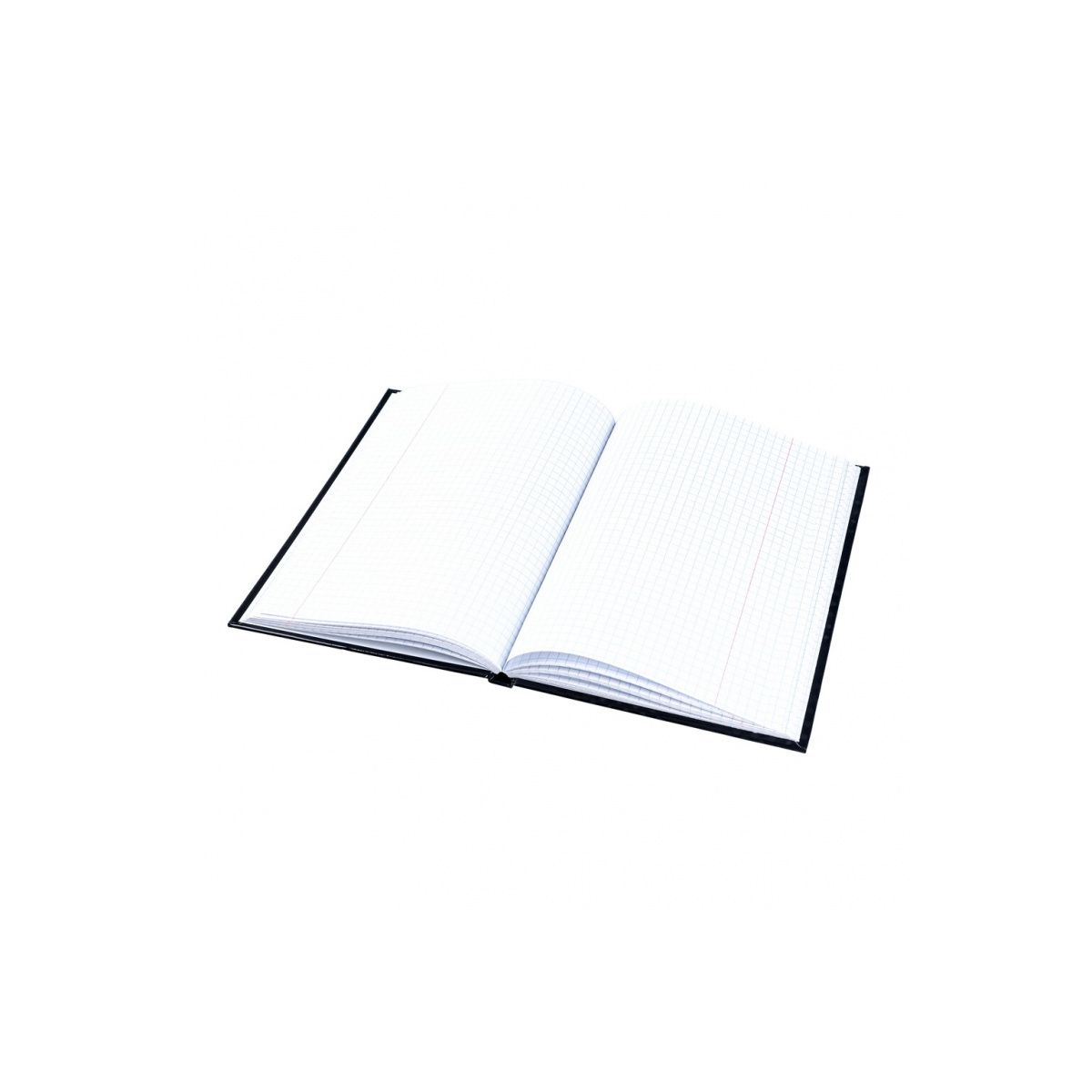 Brulion Office Products 16031211-99 A5 96k. 55g krata