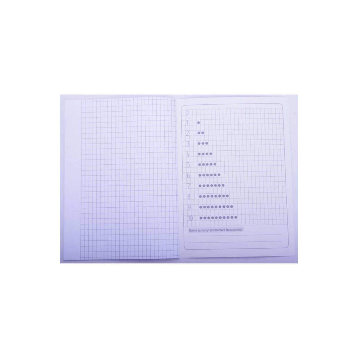 Zeszyt Rexus A5 16k. 80g linia (605431)