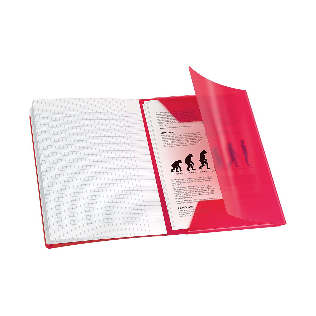 Zeszyt EASYBOOK A4 60k. 90g linia Oxford (400196700)