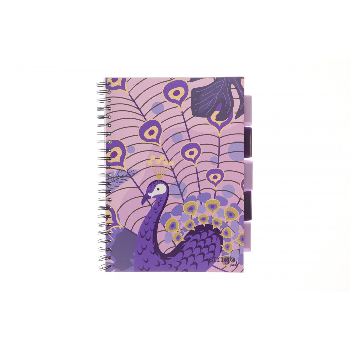 Kołozeszyt (kołonotatnik) PROJECT BOOK JUNGLA fioletowy B5 100k. 80g krata Strigo (PADS037)