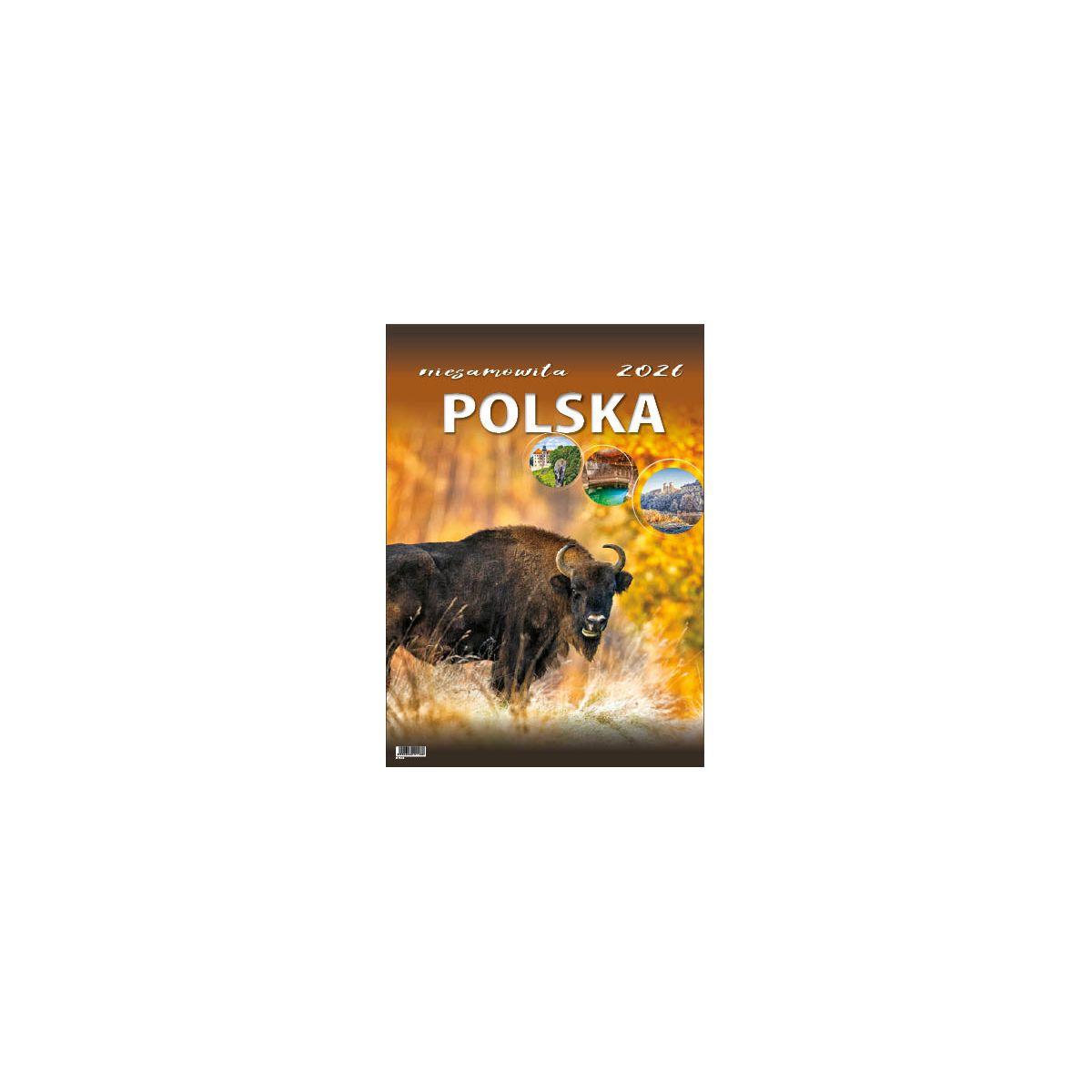Kalendarz ścienny NIESAMOWITA POLSKA wieloplanszowy 330mm x 500mm Jotan (WP116)