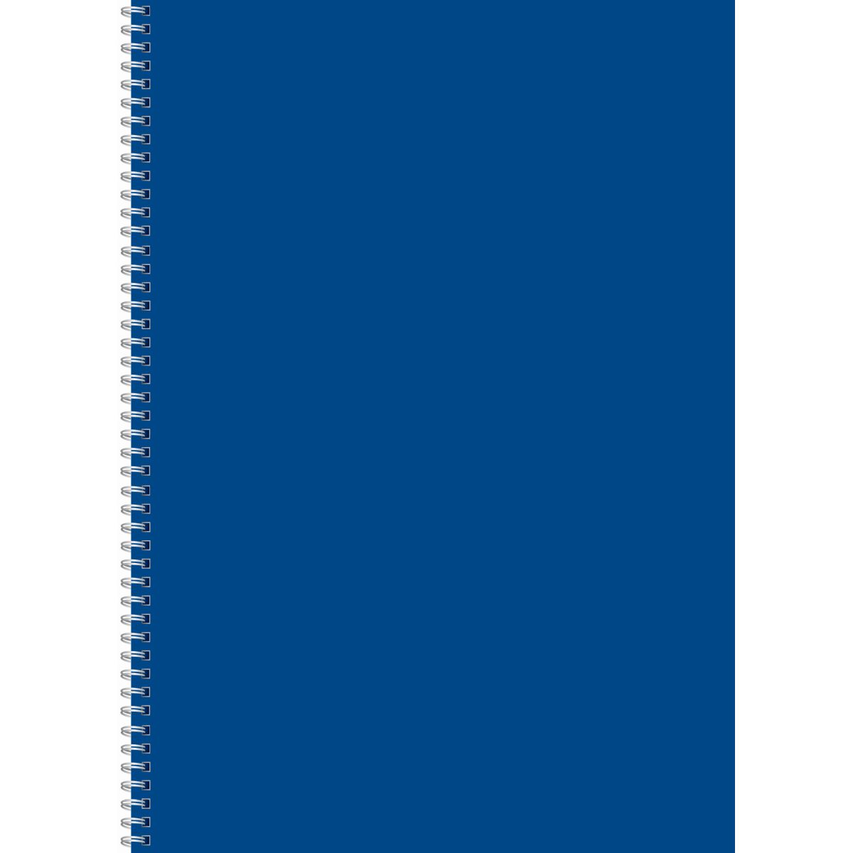 Kołozeszyt (kołobrulion) Kreska A4 96k. czysty