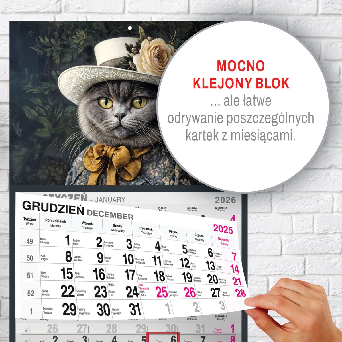Kalendarz ścienny (401000) k:2915-377 KOT A5 210mm x 450mm Press
