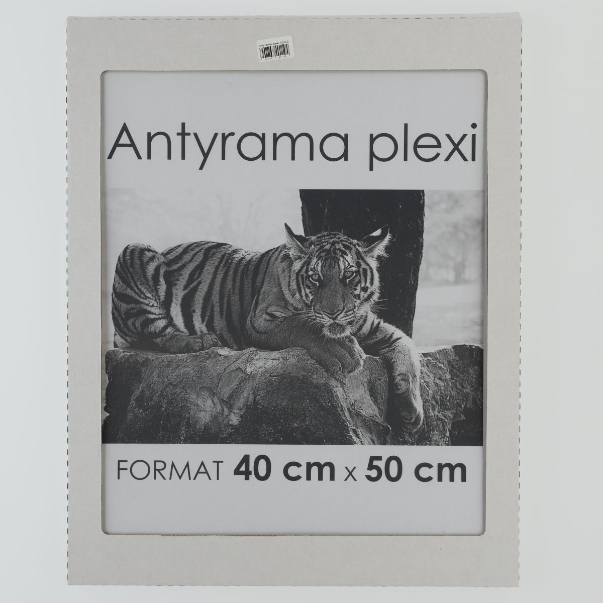 Antyrama Raw-West plexi plexi [mm:] 400x500