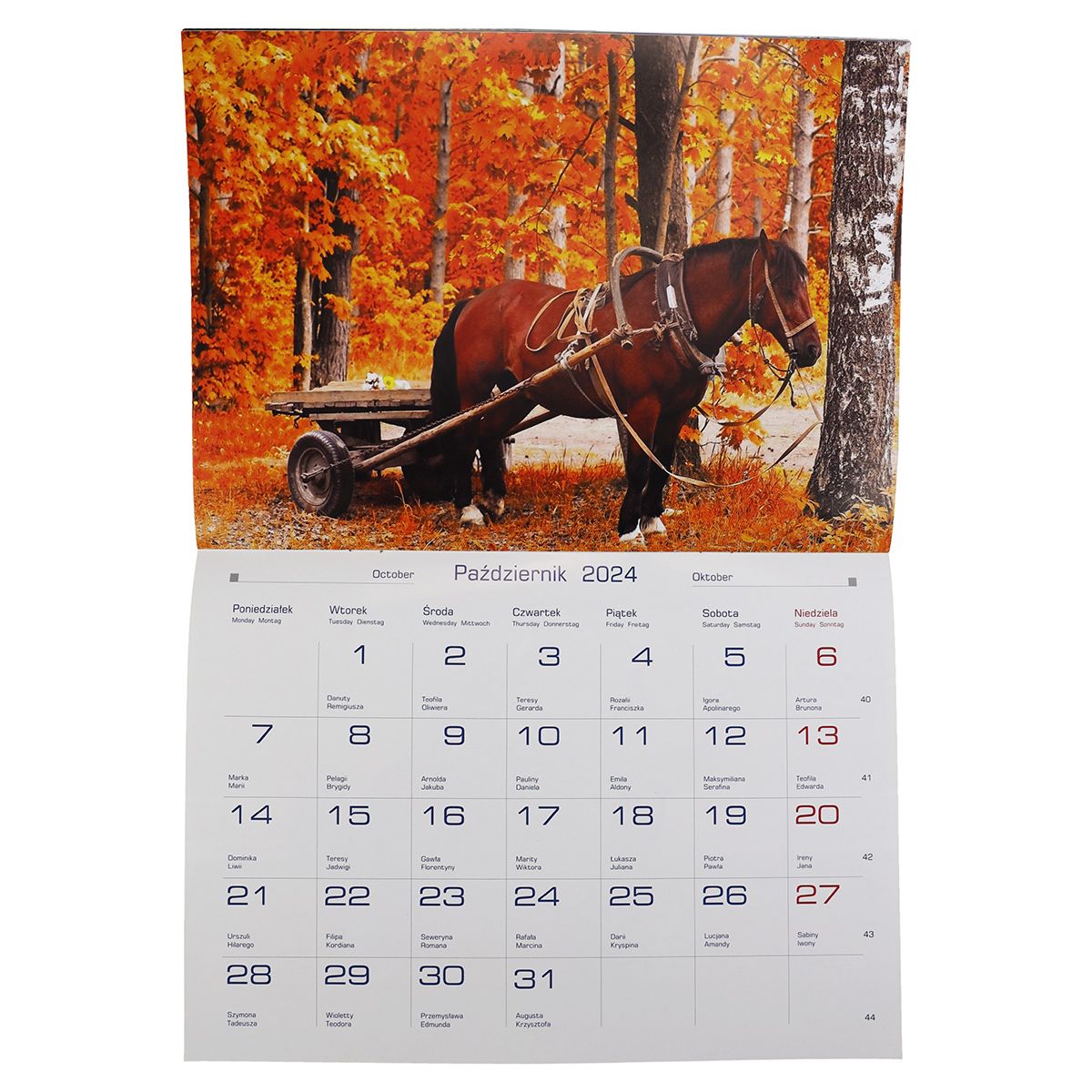 Kalendarz ścienny wieloplanszowy 200mm x 280mm Michalczyk i Prokop (TW-10-6)