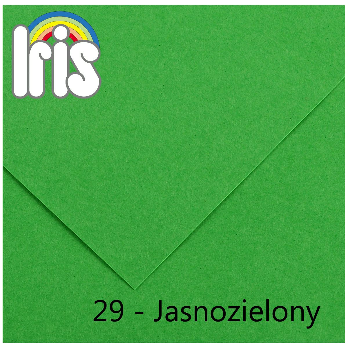 Brystol Iris 29 B1 zielony jasny 240g 25k [mm:] 700x1000 Canson (200040468)