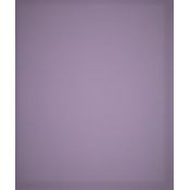 Brystol Jowisz B1 fioletowy 230g 10k [mm:] 700x1000