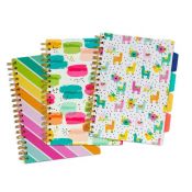 Kołozeszyt (kołobrulion) Pukka Project Book Colour Wash linia (9032)