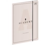 Teczka kartonowa na gumkę ACADEMY A4+ mix Interdruk (TEGUFACADEP)