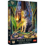 Puzzle Trefl Magic Collection Premium Plus Księga Cieni 1000 el. (10899)