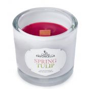 Świeczka ozdobna Pavoncella Classico Spring Tulip biała 170g (5905711530974)