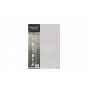 Papier ozdobny (wizytówkowy) Galeria Papieru brillo biały A4 biały 200g (205406)