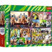 Puzzle Trefl zwierzaki 4x250 el. (13313)