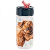 Bidon Derform Cleo i Frank 330ml (BACF44)