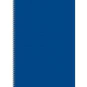 Kołozeszyt (kołobrulion) Kreska A4 96k. czysty